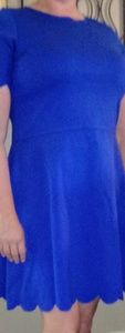love...ady blue scalloped dress size 1x